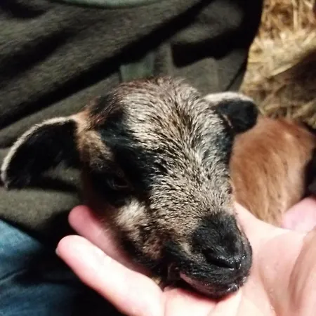 Muehlenhof-soderstorf-wohnung-d Soderstorf