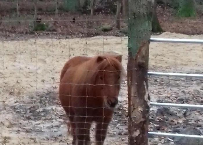 Muehlenhof-soderstorf-wohnung-d Apartman