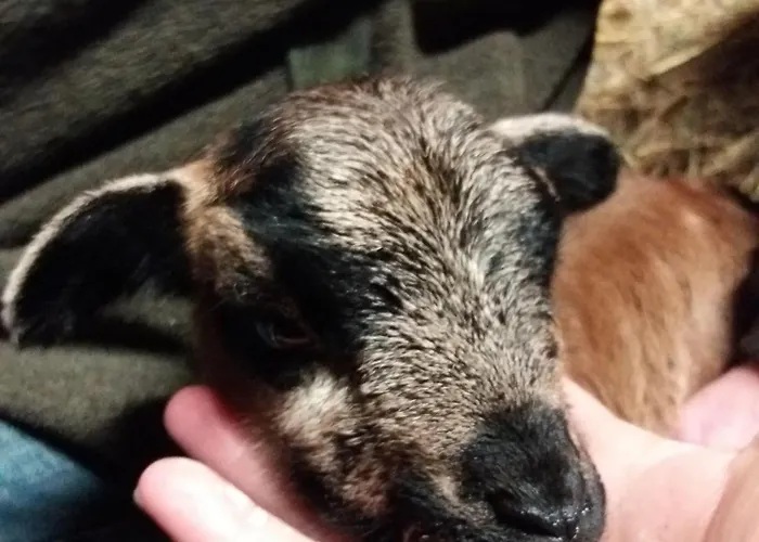 Muehlenhof-soderstorf-wohnung-d Soderstorf